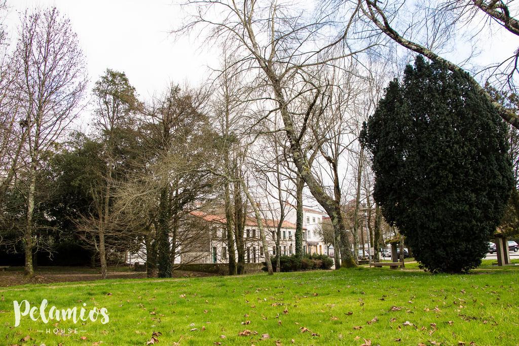 Pelamios House Apartment Santiago de Compostela Ngoại thất bức ảnh