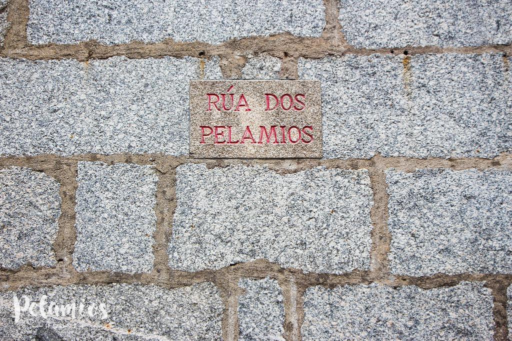 Pelamios House Apartment Santiago de Compostela Ngoại thất bức ảnh